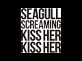 Seagull Screaing Kiss Her Kiss Her _ stereo love