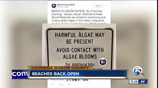 Martin County beaches back open after closure for algae