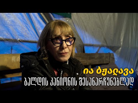 ია ბჟალავა - ბალდის კანიონის შესანარჩუნებლად