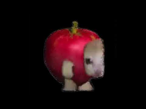Apple Cat