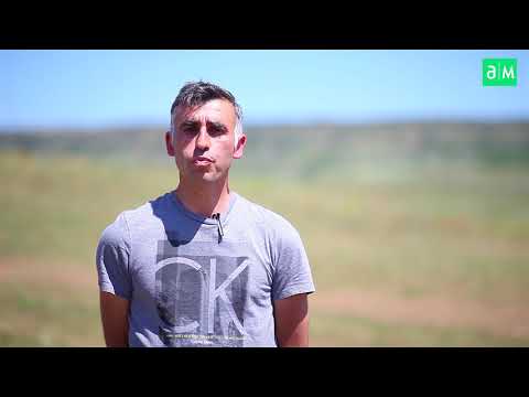 როგორ დავთესოთ სიმინდი