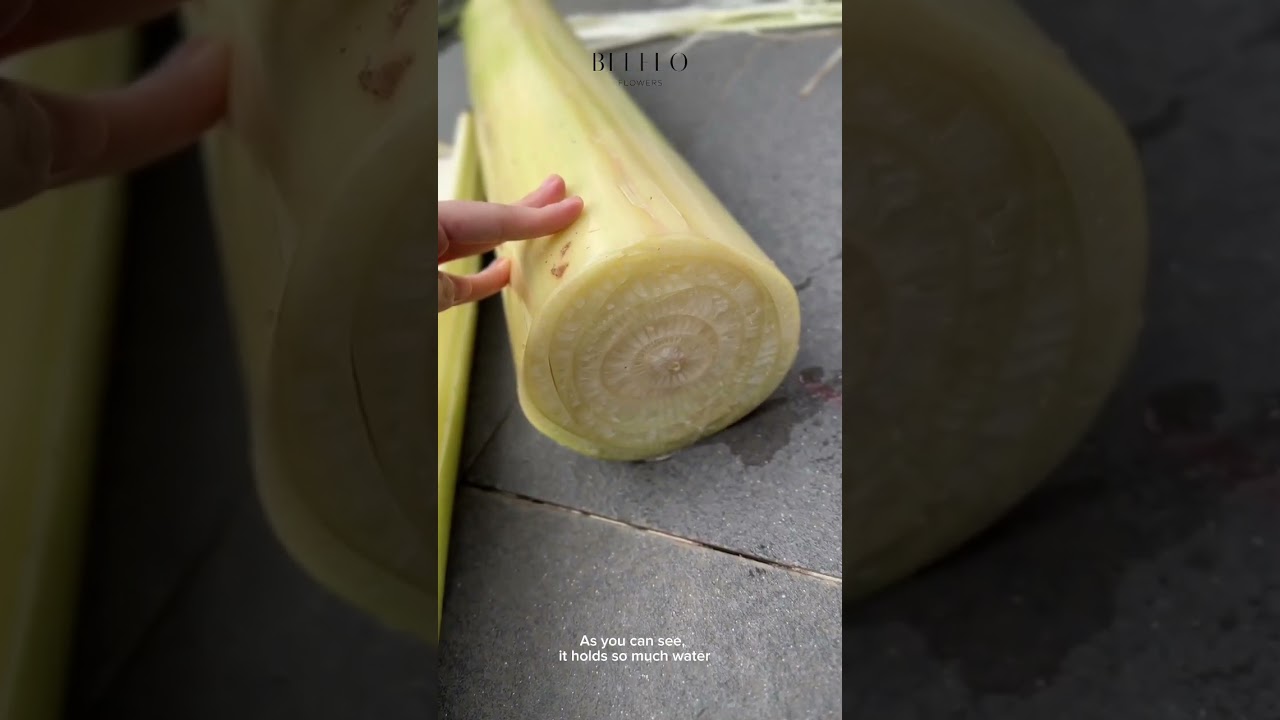 Sustainable Floristry | Floral Foam Alternative using Banana Tree | Florist Preparation for Decor