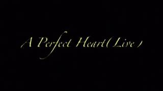 John Branham Starnes - A Perfect Heart (Live) chords