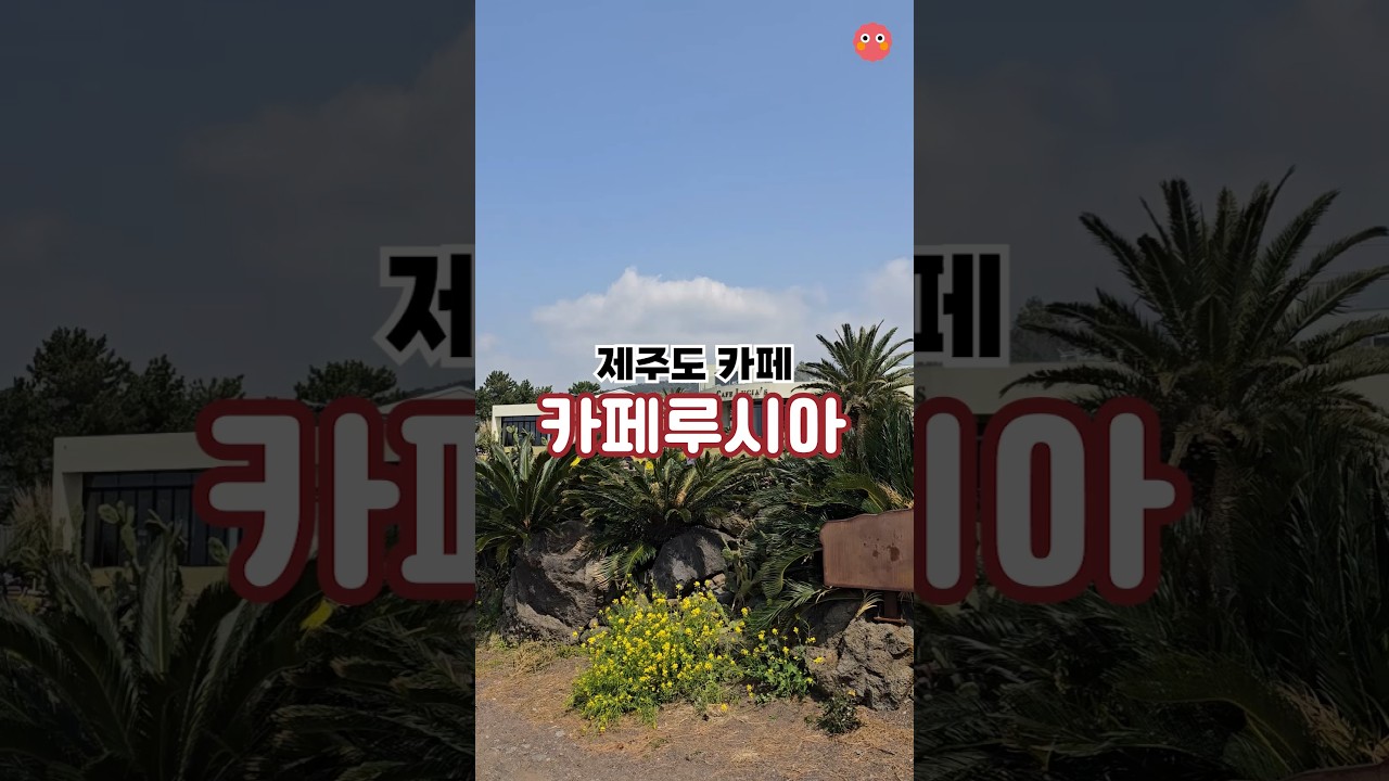 [제주도 카페] 카페루시아 #shorts