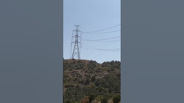 (سورة الأحزاب-آية 23):﴿مِنَ الْمُؤْمِنِينَ رِجَالٌ صَدَقُوا مَا عَاهَدُوا اللَّهَ عَلَيْهِ …﴾