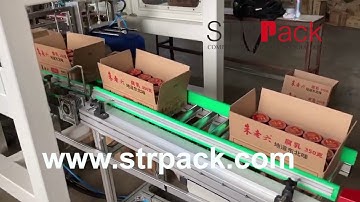 Can & Bottle Robotic Bottle Case Packing and  Palletizing System