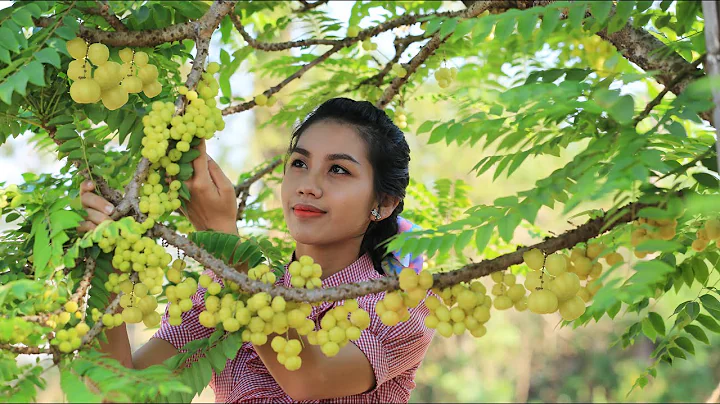 Cooking Surette Cochon fruit with fish salad in my...