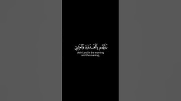 أجمل وأفضل حالات واتس اب دينيه 🖤 قرآن كريم بصوت القارئ : فارس عباد || 🌘😴 ( مقاطع قرآن )😴
