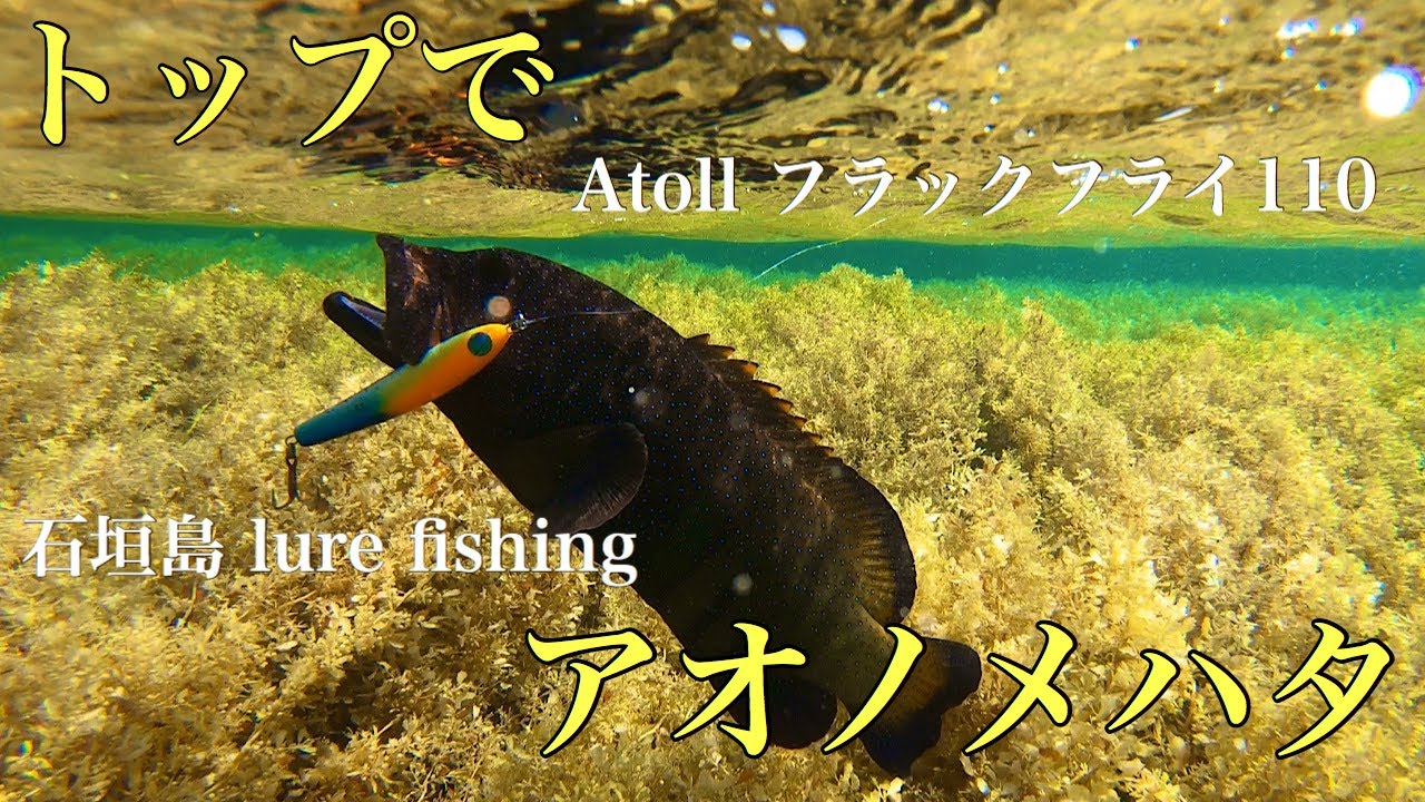 トップで【アオノメハタ】jetsetter patagonia 1000プロト