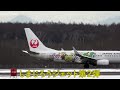 【しまじろうジェット】札幌新千歳空港 離着陸 2019/12/26 ②  (CTS)Sapporo New Chitose Airport Takeoff and Landing