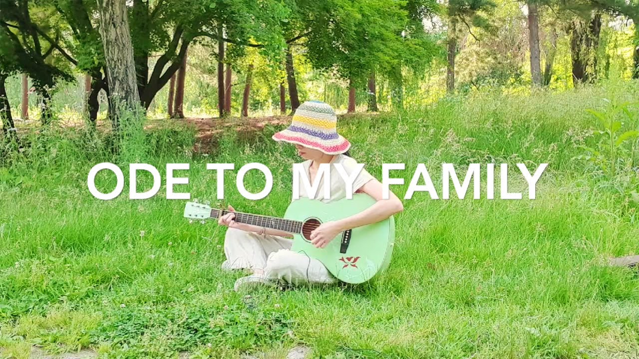 Ode To My Family The Cranberries lyrics (slightly) changed by