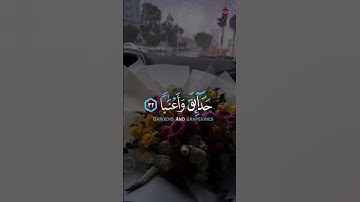#قران_كريم #تلاوات #عبدالرحمن_مسعد #quran #قرآن #تلاوة_خاشعة #تلاوت #ترتیل