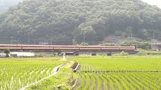 2022.06.10 09:37　リバイバル国鉄色　381系　特急やくも8号　新見駅〜石蟹駅間