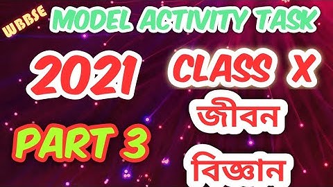 Model Activity Task Life Science part 3।।class 10।। Wbbse।। দশম শ্রেণী জীবন বিজ্ঞান অ্যাক্টিভিটি টাস