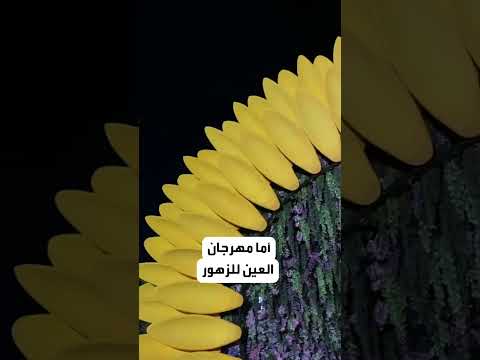 العين تدخل موسوعة غينيس بأكبر باقة زهور في العالم