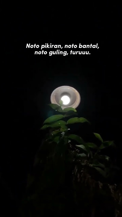 mapan turu #storywa #jowostory #shortsvideo #jowopride #statuswa #quotes