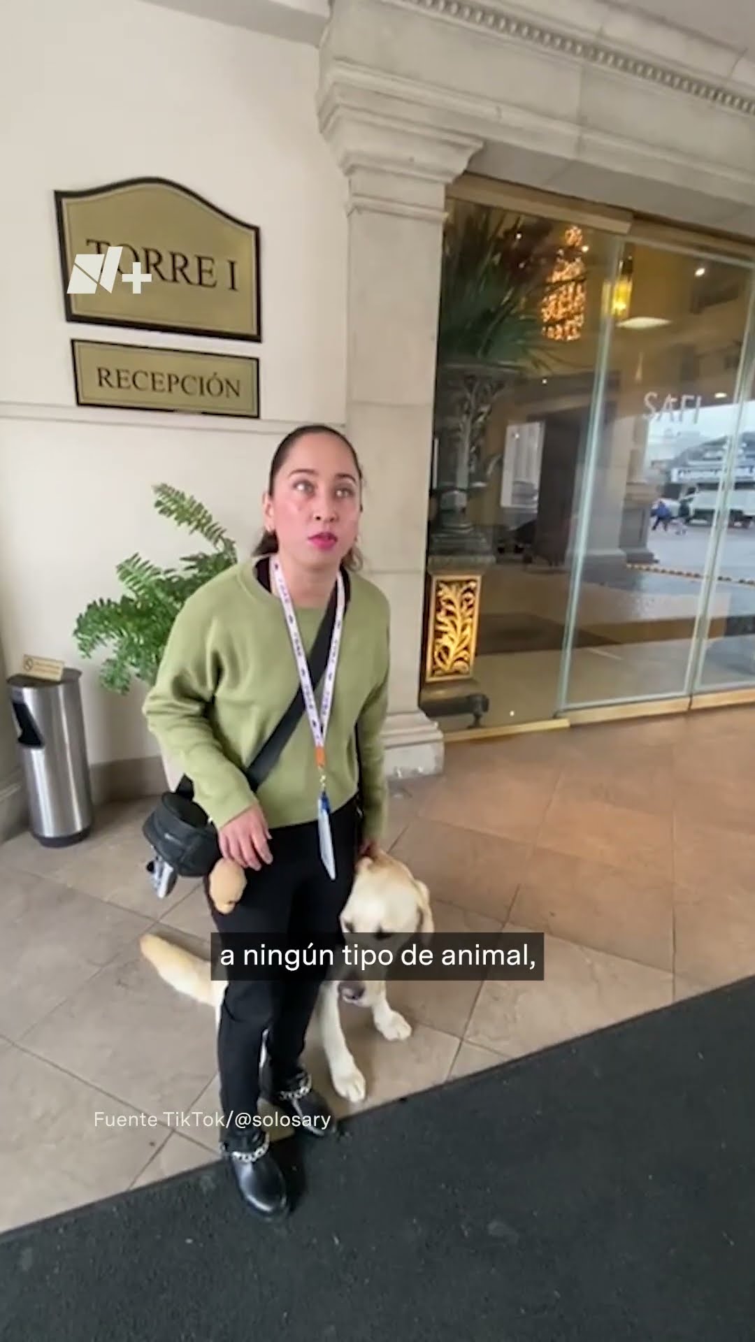 Niegan entrada a hotel a joven con discapacidad - N+ #Shorts