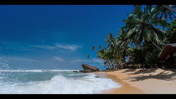 Moment - Amine Maxwell🎵(No Copyright Music)🎶