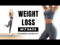 Weight loss in 7 days40min full body fat burn  arm back leg abs  standing only
