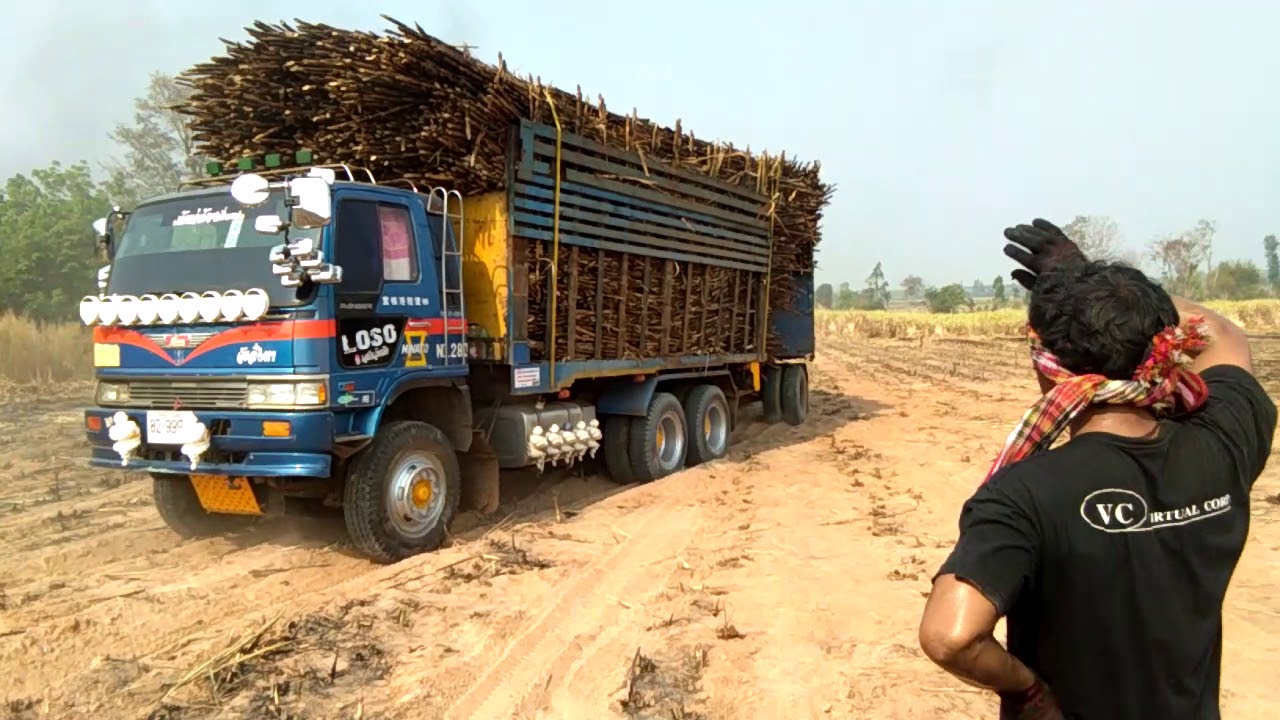 รถพ่วงฮีโน่เครื่องK13c-360แรงม้า บรรทุกอ้อยออกจากไร่ งานเข้าซ่ะแล้วเจอดินทราย truck Thailand