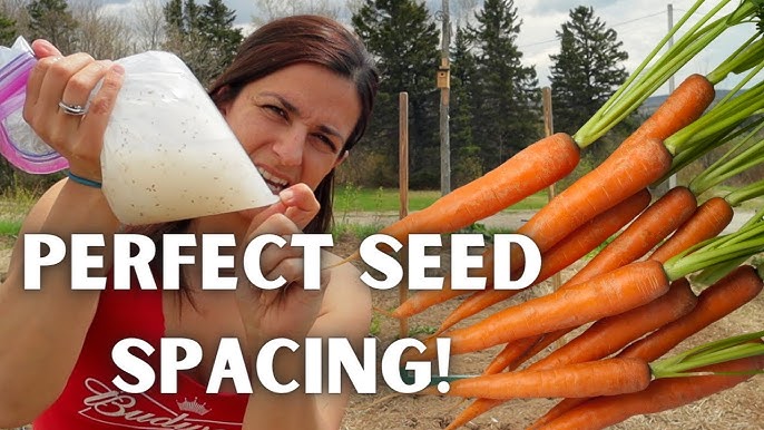 Tricks For Sowing Small Seed 
