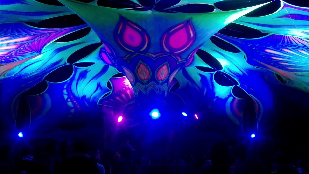 PsyFi 2019 just everything I filmed