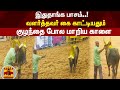           palamedu jallikattu  thanthitv