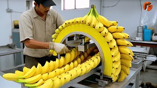 Modern Food Processing Machines Operating At An Insane Level 3