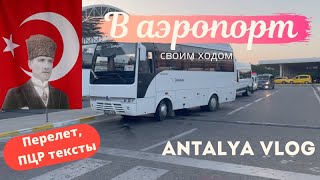 Аэропрт Анталья в Турции. Проверка в аэропорту, ПЦР тесты.