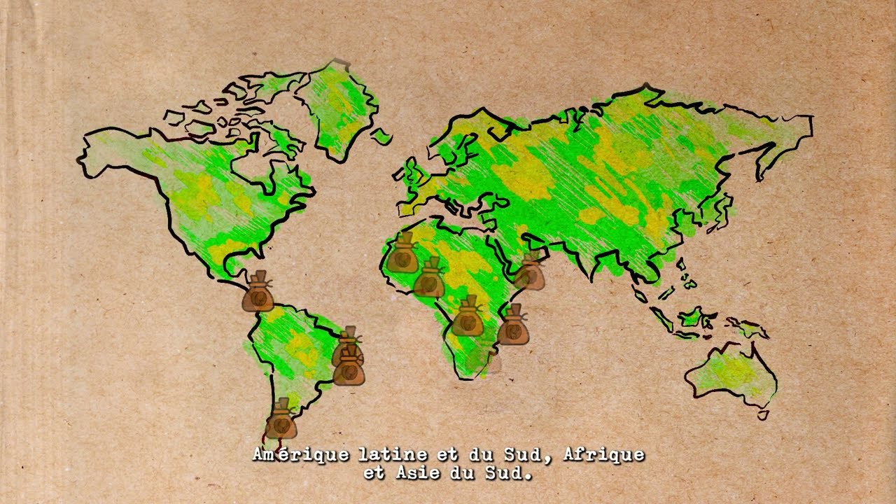 Cafés Méo : La culture du café