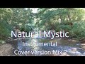 Natural mystic  mix 2  instrumental  bob marley and the wailers cover