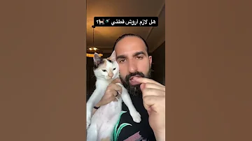 كل كم تروش قطتك Shorts 