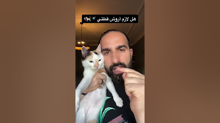 كل كم تروش قطتك؟🐾 #shorts