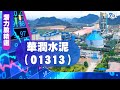 【潛力股精選】張智威：華潤水泥（01313）