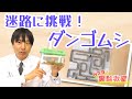【Nスタ実験教室】迷路に挑戦!ダンゴムシ