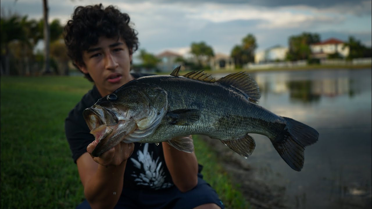 Googan Toad SLAYS Pond Bass (INSANE) YouTube