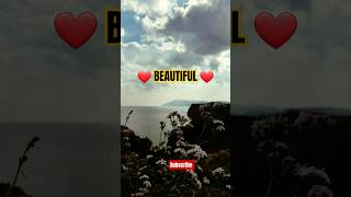 Download Lagu Bi Sarah. Nasheed. #nasheed #gozol #allah #namaz #salah #islam #peace #aesthetic #nature #beauty MP3 Download Lagu Bi Sarah. Nasheed. #nasheed #gozol #allah #namaz #salah #islam #peace #aesthetic #nature #beauty MP3