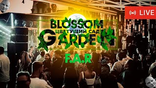 📹 F.A.R - &quot;Blossom Garden&quot; Fantomas Rooftop | Live 22.07.2022
