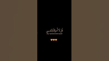 سورة يونس / القارئ عبد الرحمن مسعد / تلاوة خاشعة ومؤثرة