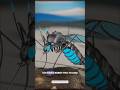 Robotic mosquito 🤔 #shorts #ytshorts #facts #animals #trending #youtubeshorts