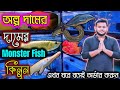 🔥উত্তর 24 পরগনার রঙিন মাছের সেরা ঠিকানা এখন অল্প দামে😱bongaon fish seller।bongaon fish price update 