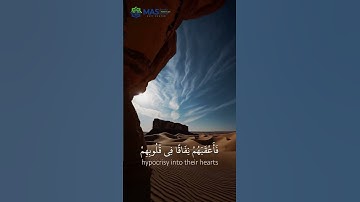 سورة التوبة الشيخ احمد الحداد من صلاة التراويح