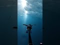 Penguin POV: Hidden Structure Found Beneath Antarctica Ice 😨