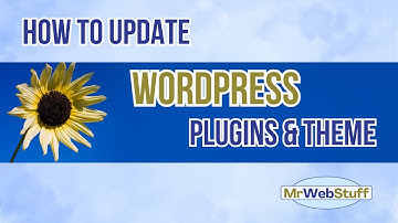 How To Update Wordpress Plugins & Theme