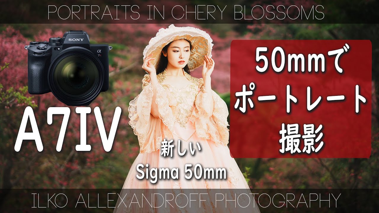 綺麗な桜でのポートレート撮影！Sigma 50mm F/1.4 レンズとストロボ1灯