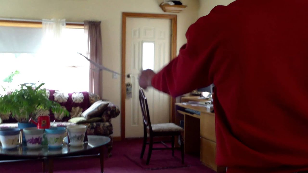 fiddlersgreen herring gull paper model has a nice landing