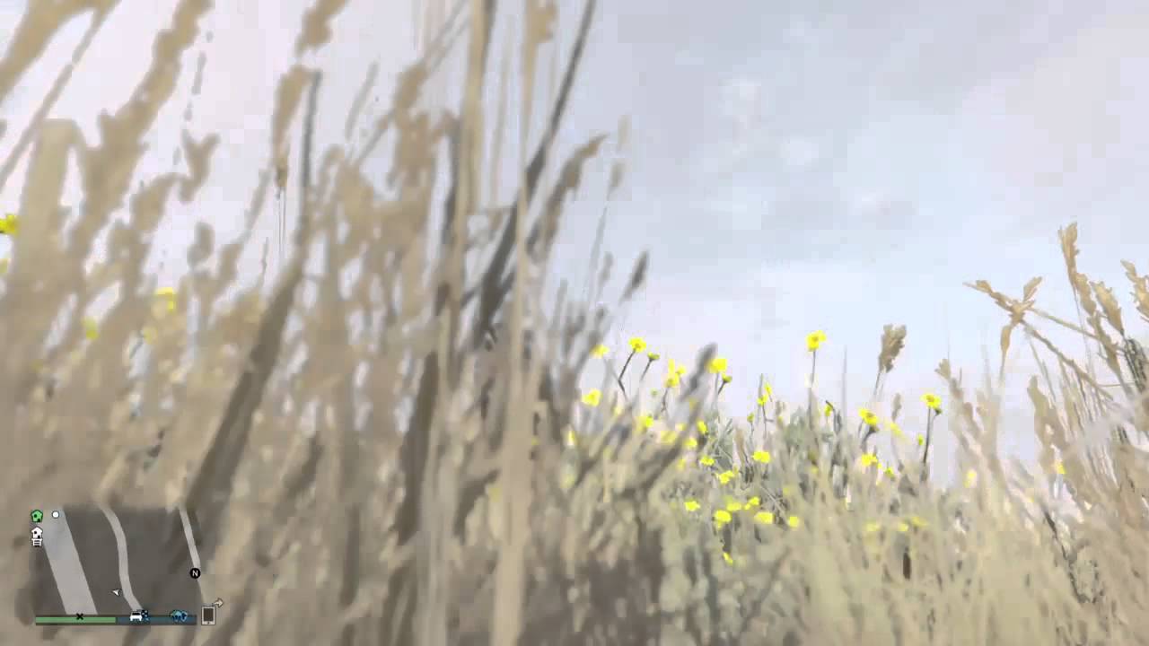 RUFLiSS vs. Scorched