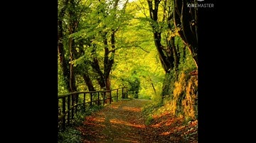 ارح سمعك، القارئ اسلام صبحي، سورة الانسان،  صوت تخشع له القلوب🌺🌺