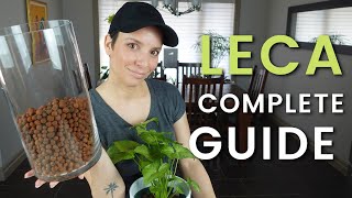 LECA FOR BEGINNERS | COMPLETE GUIDE (What You Need, How To Transfer Plants, How To Care For Them)