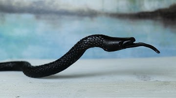 How to Forge a Rasp Asp